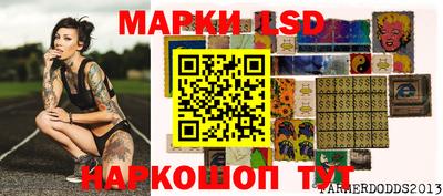 индика Анжеро-Судженск