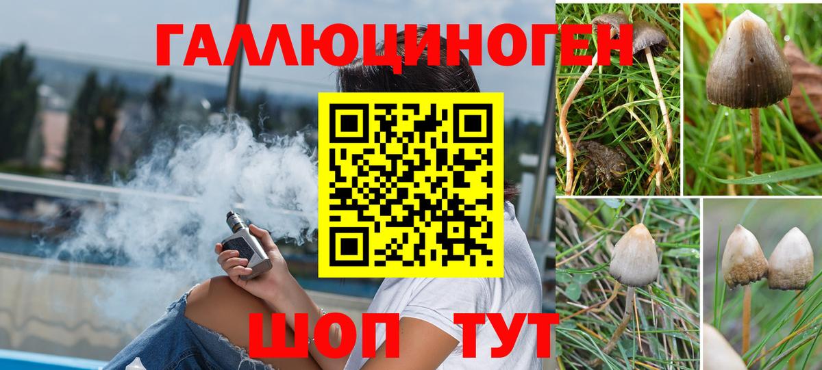 Ангарск  Галлюциногенные грибы Cubensis  Галлюциногенные грибы MAGIC MUSHROOMS  Вход с VPN 